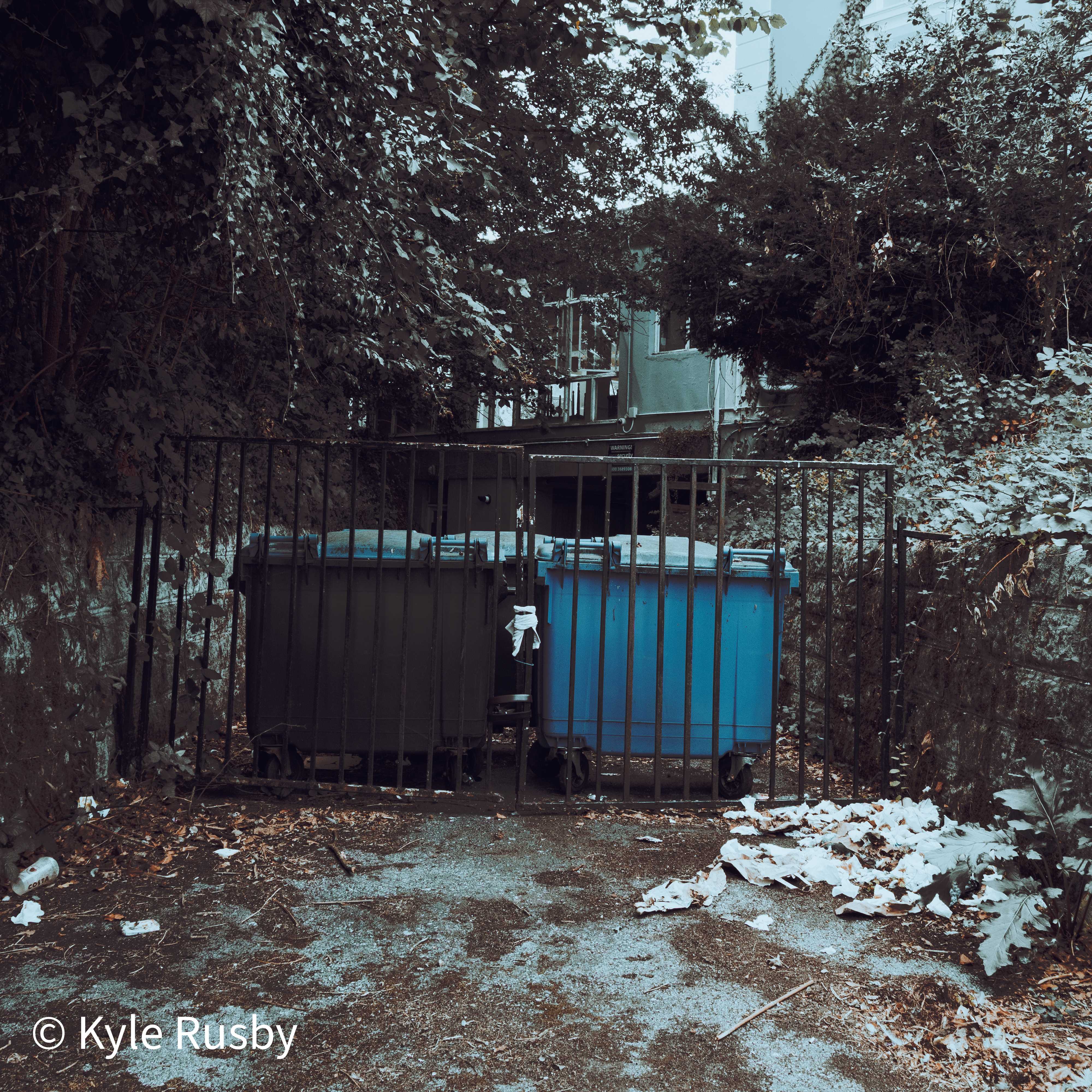 A black and a blue wheelie bin locked behind iron railings in an overgrown back yard, ivy closing in on every side