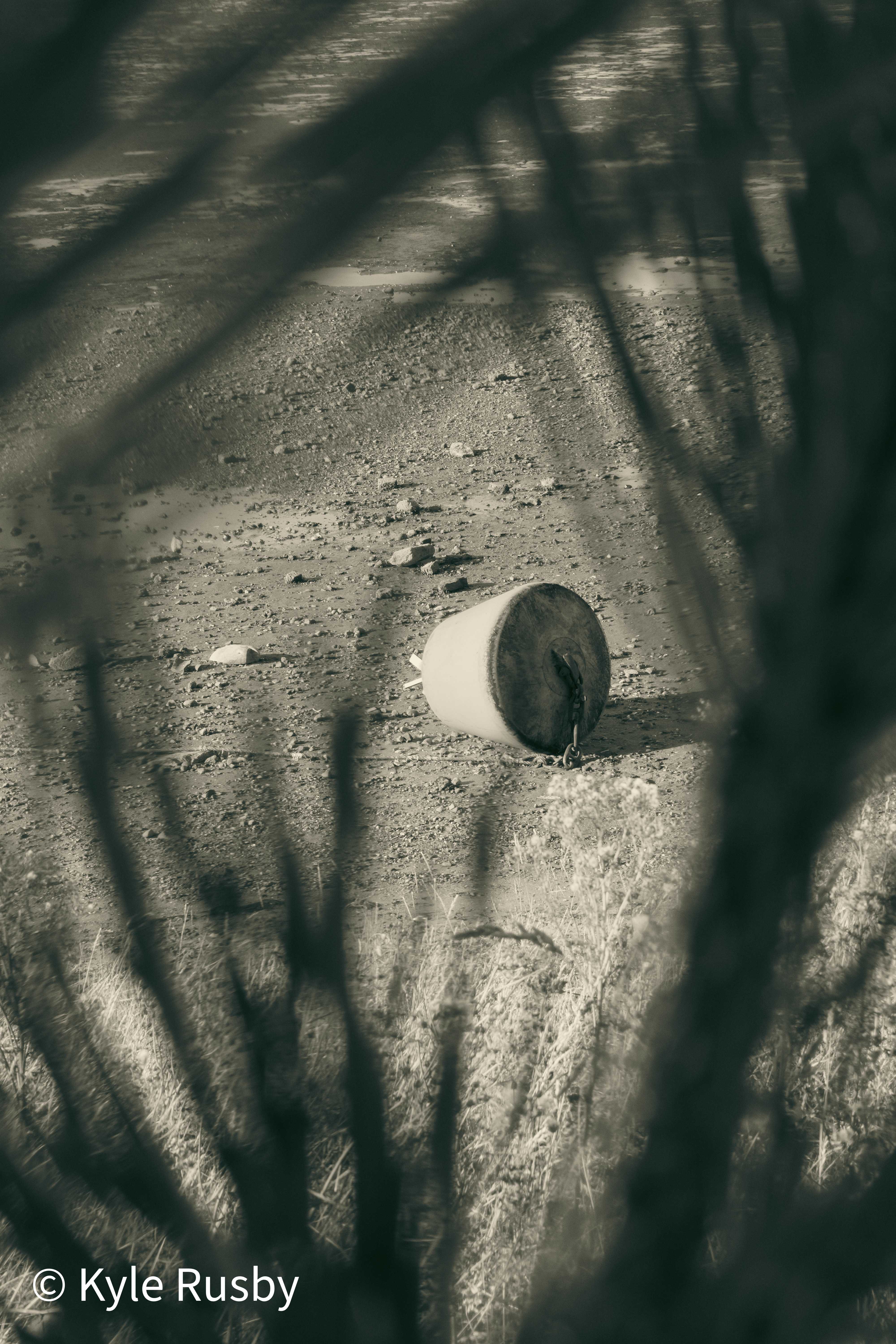 Sepia-toned photograph of a white mooring buoy lying on the stony estuary bed, seen through a blurred fringe of dark grass