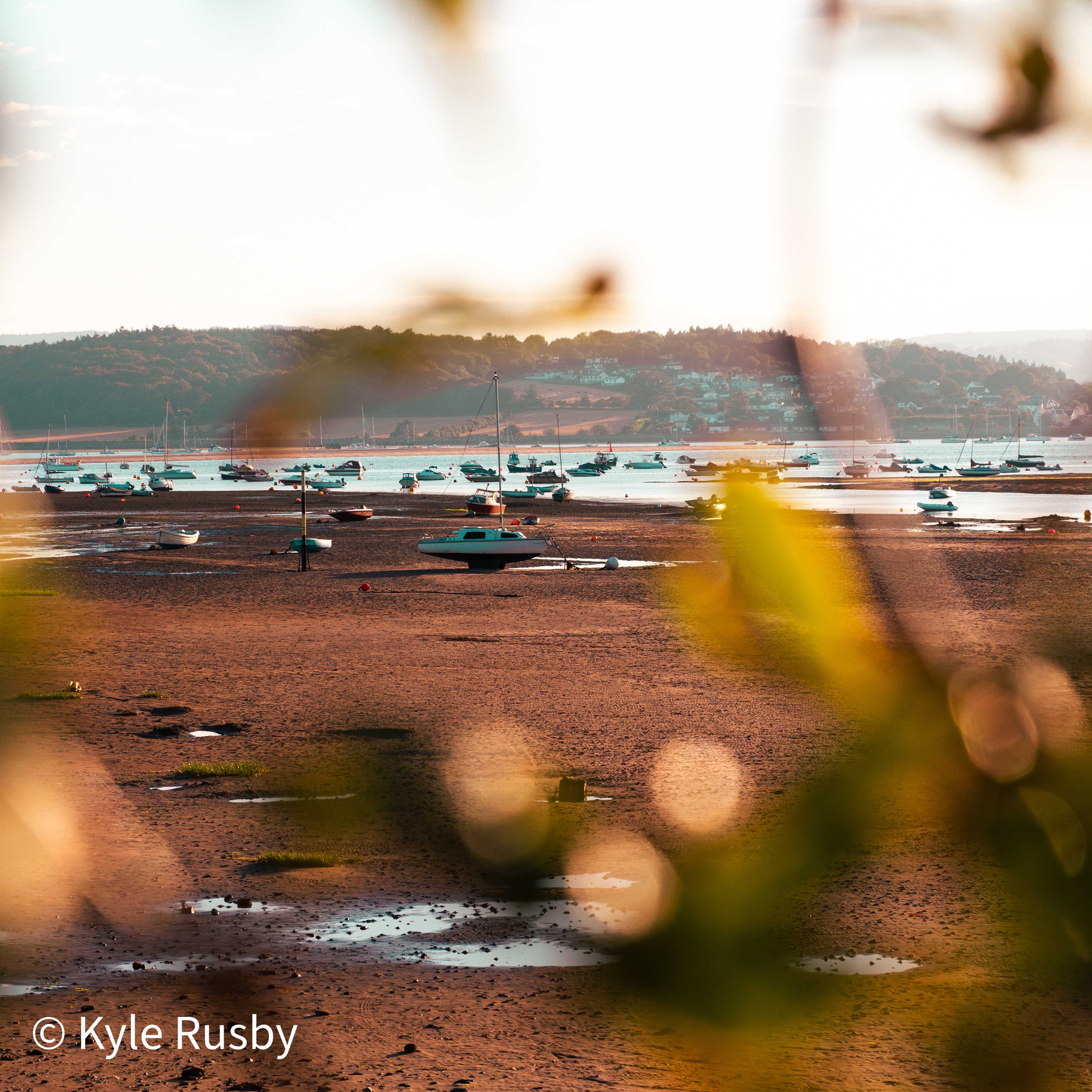 Dozens of small boats sit aground across the low-tide estuary, seen past blurred golden leaves, the far town on its hill