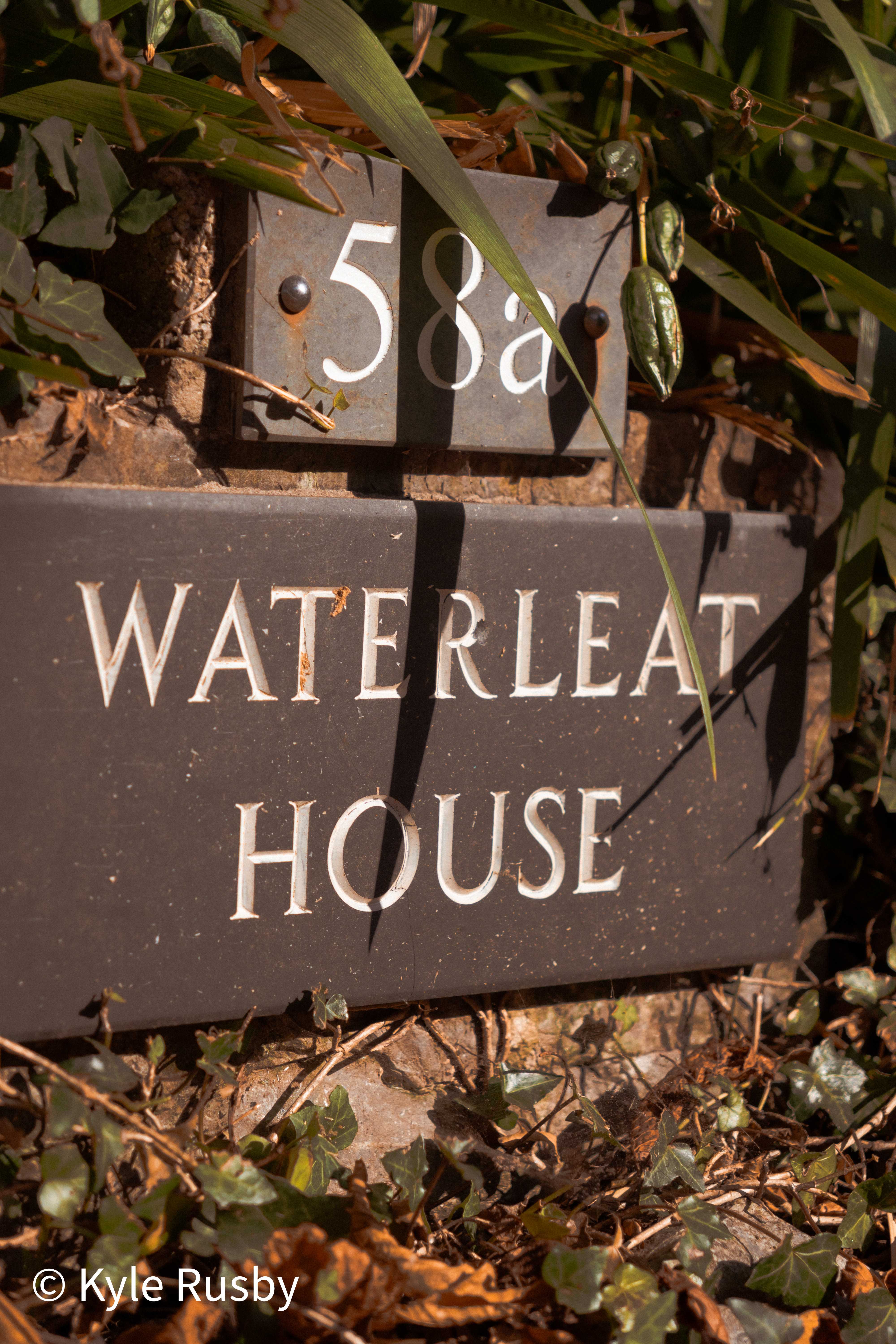 A slate house sign reading 58a Waterleat House set into a brick pier, half swallowed by ivy and dry grass in hard sun