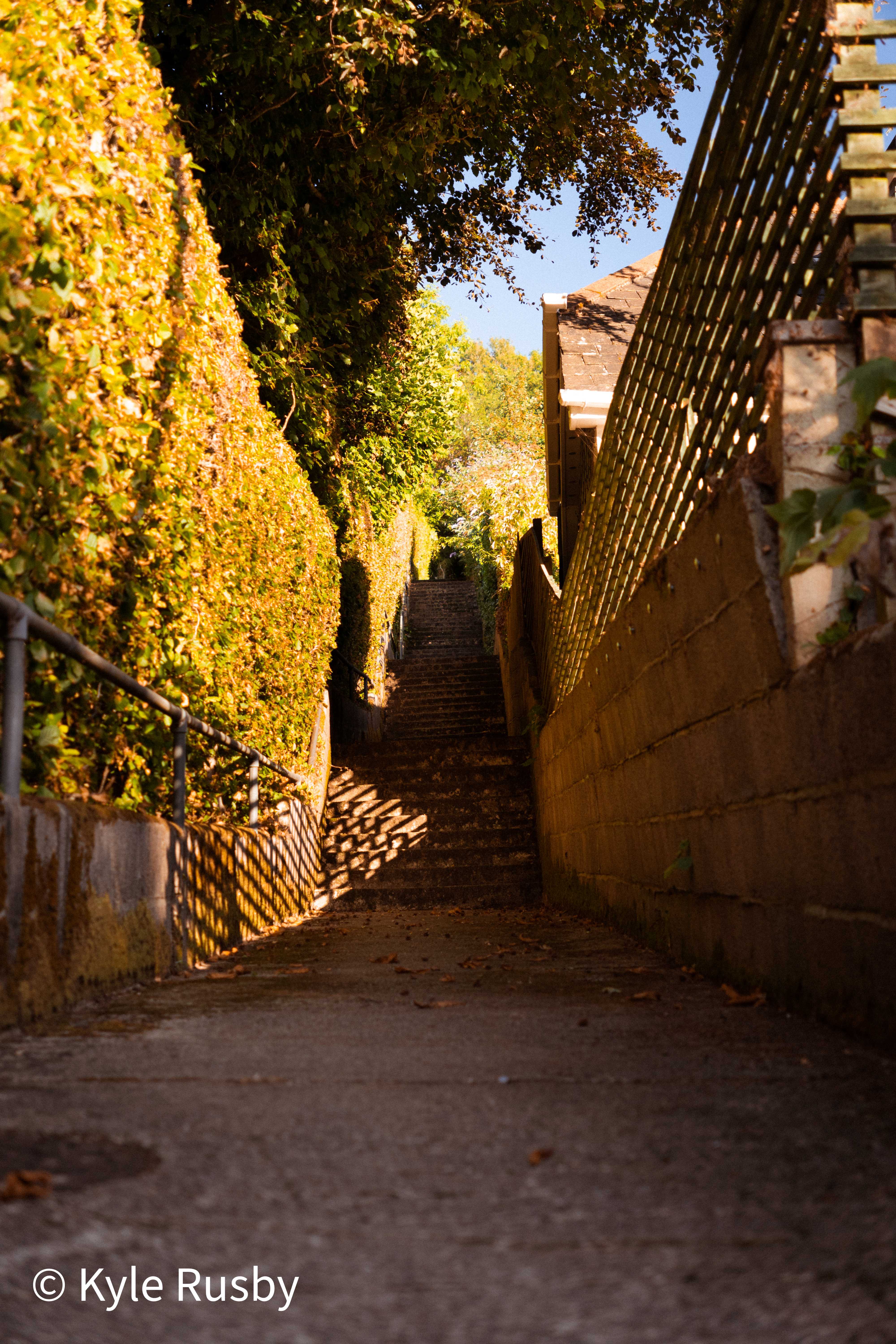A long flight of steps climbs a narrow lane between a golden hedge and a high trellised wall, dappled light on the concrete