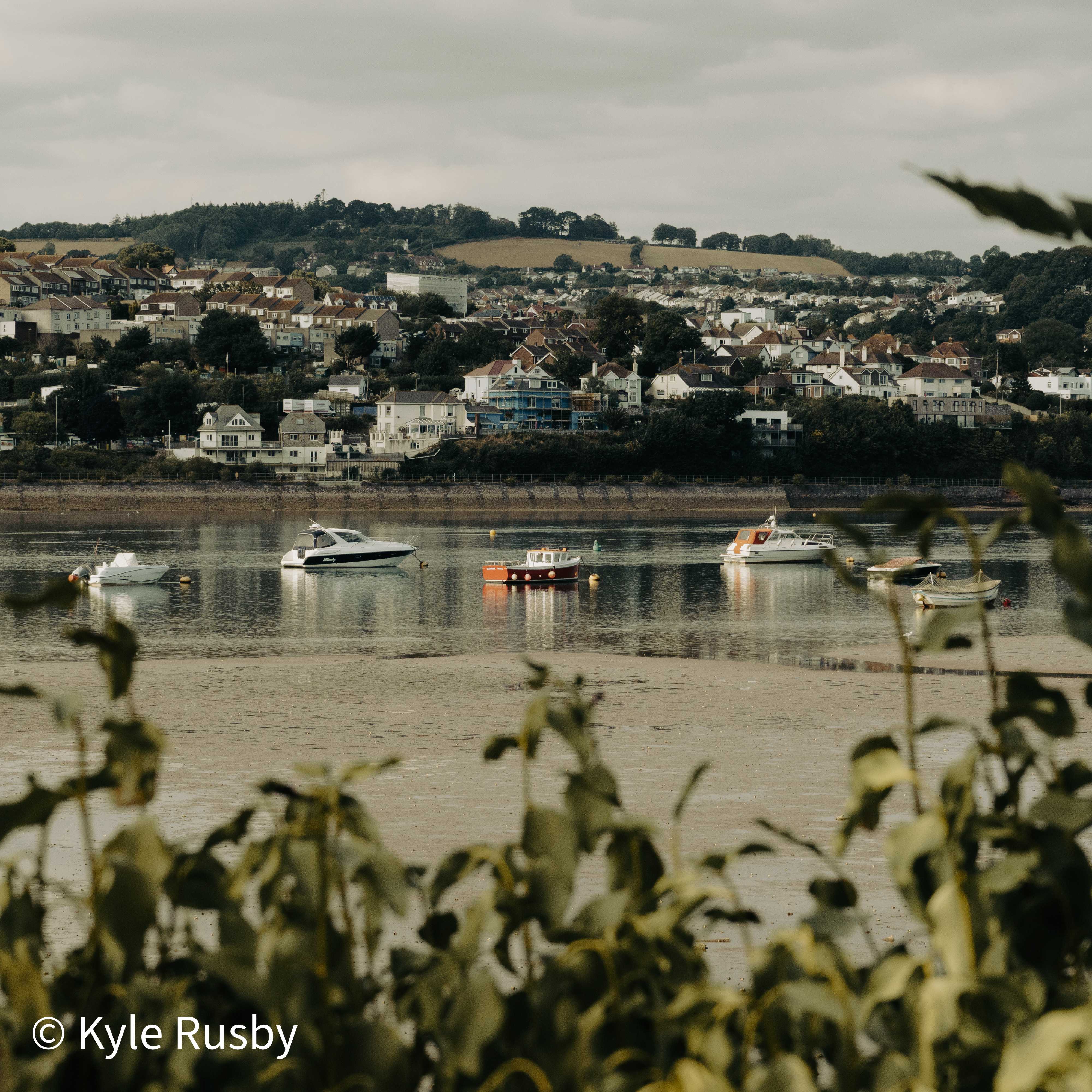 Moored boats lie on still water below a town stacked up its hillside, seen over a blurred foreground of estuary-side leaves