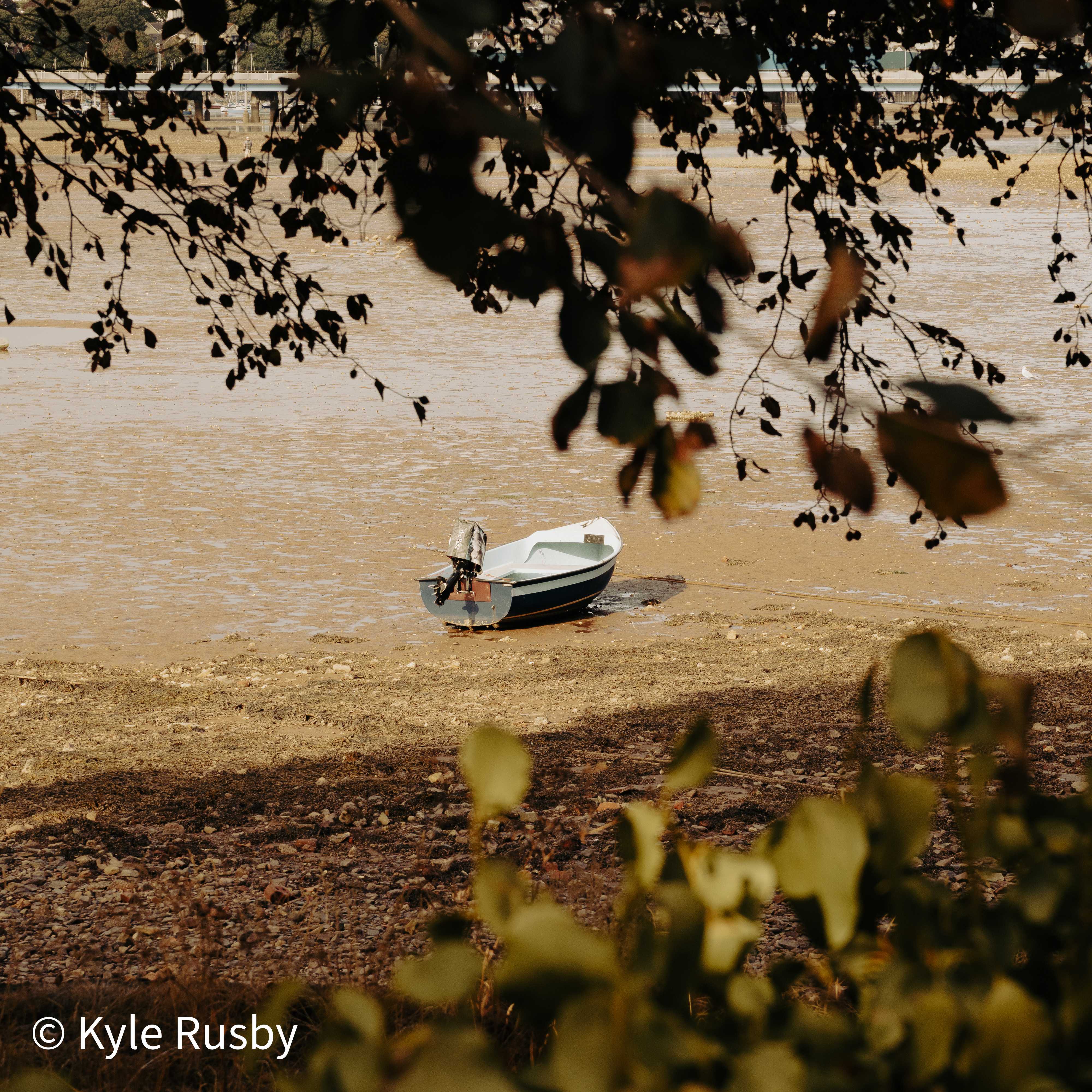 A small outboard tender lies aground on wet golden mud beneath a canopy of dark overhanging leaves, the bridge just visible upstream